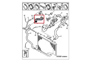 Durite pipette thermostat radiateur
