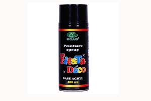 vaporisateur peinture